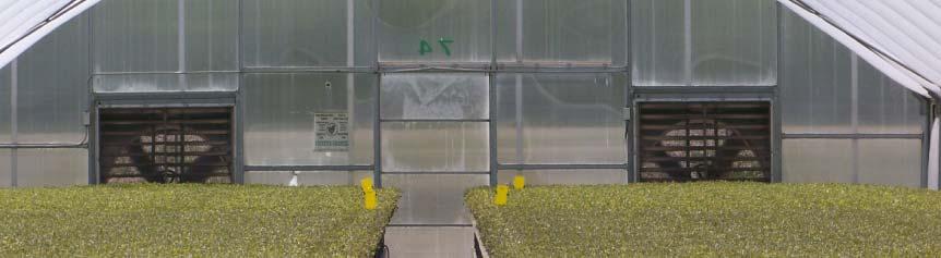 Development of an IPM strategy Before planting - Use
