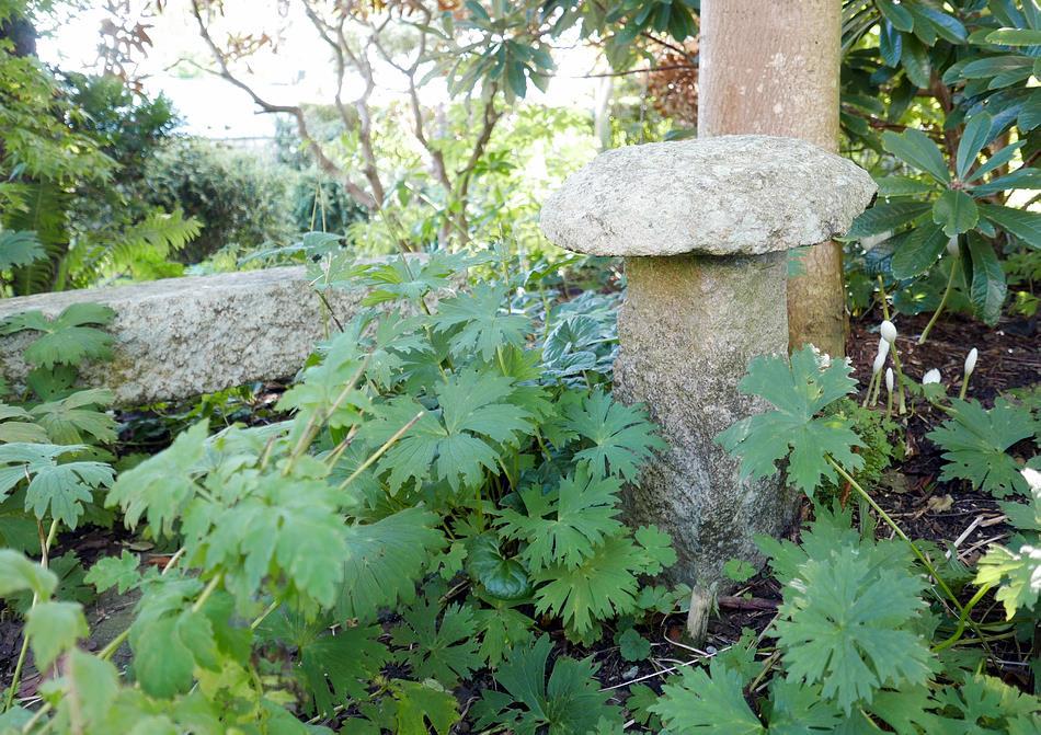 Staddle stones make great features in a garden we have two old