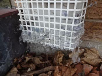 Recommend not using a plastic cage for the dryer exhaust. It will collect lint.