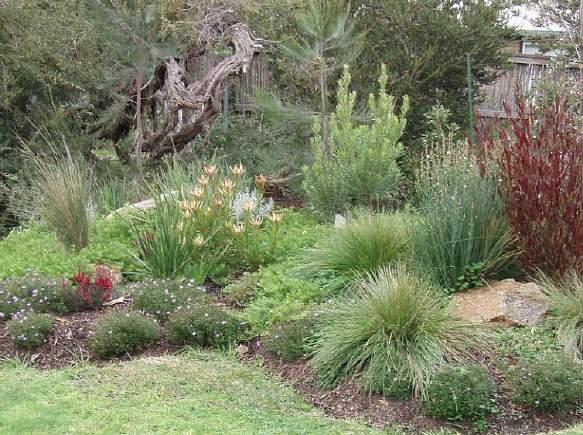 Landscape works for the front yard should occur within 6 months of the date of issue of the occupancy permit for each home.