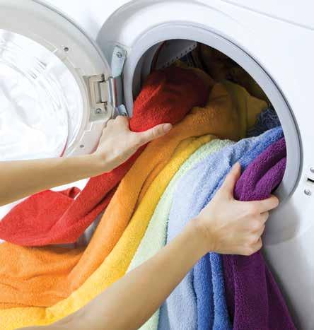 Visitor Profile Institutional and on-premise laundries Commercial and central laundry Dry