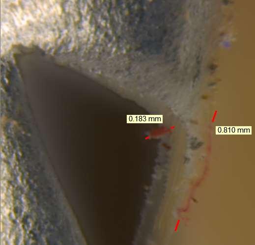 DUST EXPOSURE CHAMBER SURFACE