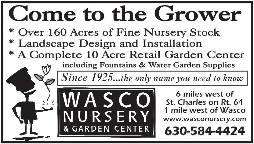 News and Announcements Plant Sale: The sale is over and we all look forward to some comments from Dick Darrah and Dan Beebe on how we did.