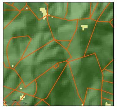 contiguous forest blocks We use local parcel data to determine current