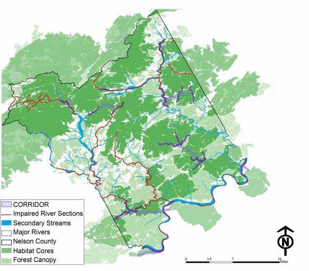 Green Assets: Water - Recommendations Protect riparian buffer along wildlife corridor