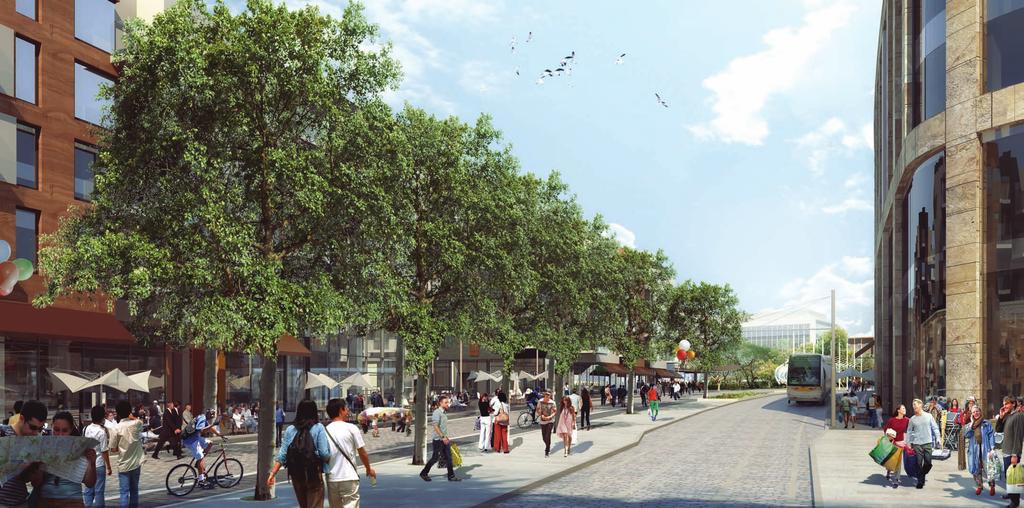 The proposed tree structure of free-growing and pleached specimen trees will form a strong curved tree lined avenue and punctuate destinations in the form of plazas and civic spaces.