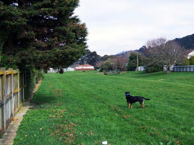 transport routes roads and rail corridor Well-treed streets in most suburbs. Cultural and heritage features Historic marae Civic space Modernist, garden city urban planning heritage in Naenae.