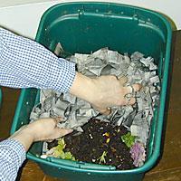 Distribute food around the bin the worms