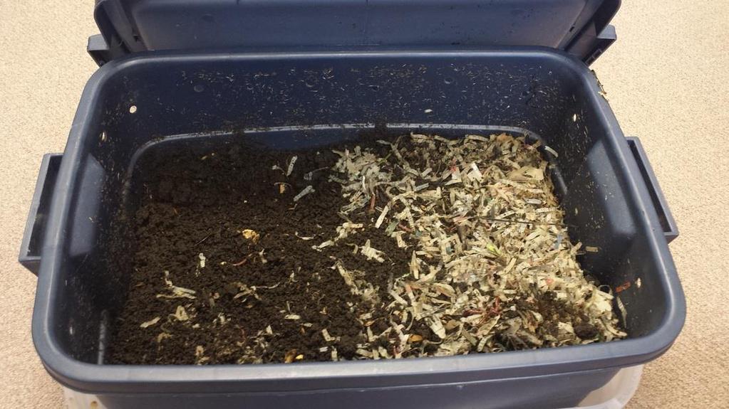 Harvesting Worm Castings 10 gallon bin can produce 3-5 gallons of worm castings every