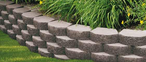 walls, tree rings, patio, lawn or edging and garden