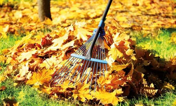 NOVEMBER & DECEMBER Regularly clear any fallen leaves and debris from the lawn. Remember to keep off the turf during wet and frosty weather as it may otherwise become damaged.