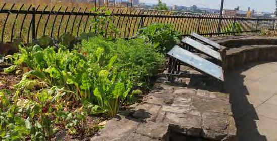 gardens Grand Entry Plaza and Riverfront: Edible landscapes (such as