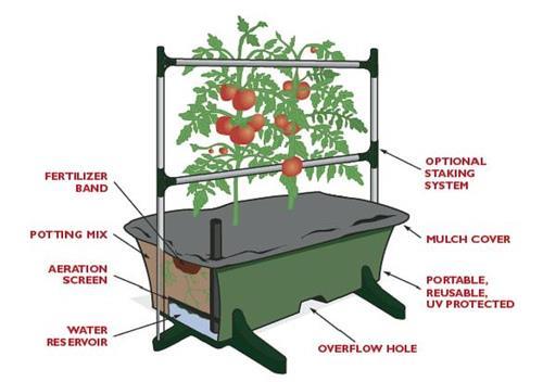edu/plants/edibles/vegetables/growingvegetables-in-containers.