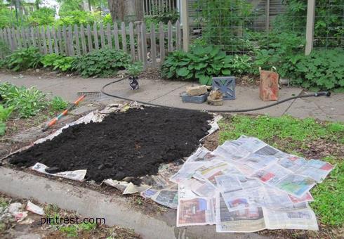 New Garden Beds Mark the area Thick layer of moistened newspaper Cover with triple mix or compost