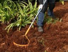 Mulching Add mulch to areas of exposed soil - 3 max Don t touch crowns, stems and/or trunks Use compost or other organic materials, such as