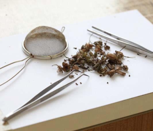 on seed sample cleaning using basic laboratory equipment