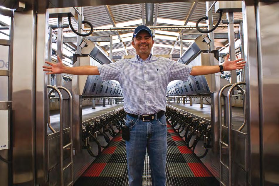 With the help of our parallel parlors, dairy farmers around the world are producing high quality milk, effectively parlors that are reliable with a