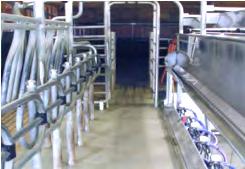 entrance and exit. Wide entrance lane with sliding entrance gate quick entry and easy turning encourages fast loading of cows.