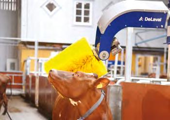 Stanchion barn Milk meter VMS Rotary Parlour Automatic milking rotary Herd Navigator Feed wagon Activity meter system Cooling tank An intelligent cow traffic system ensures optimal cow-flow and labor