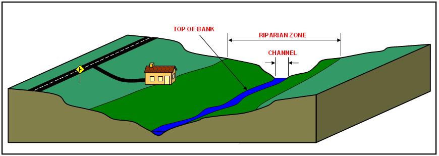 Riparian Zone Measures 50, 150, or 300 ft along