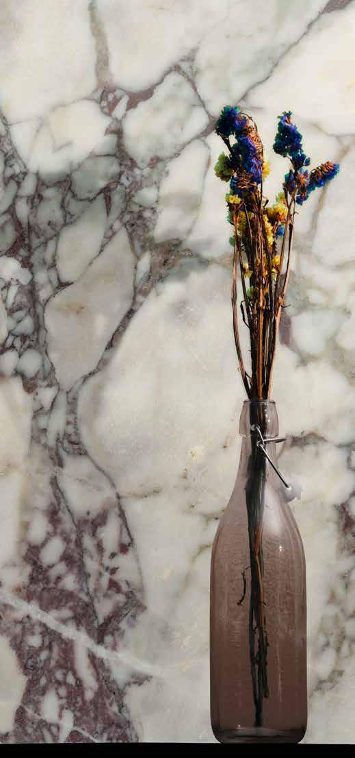 CALACATTA VIOLA The Calacatta Viola is a vivid and stunning marble extracted by our