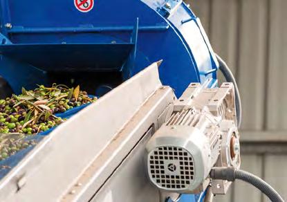 LEAF REMOVAL AND WASHING CRUSHING AND MALAXING EXTRACTION SEPARATION Leaf removal and washing The advantages of Pieralisi innovations High quality olive oil starts with clean and healthy olives.