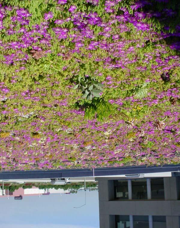 Green Roofs Extensive Green Roofs 1. Create savings through reduced energy demand c. Source: Roofscapes, In 2. Provide bird and insect habitat 3.