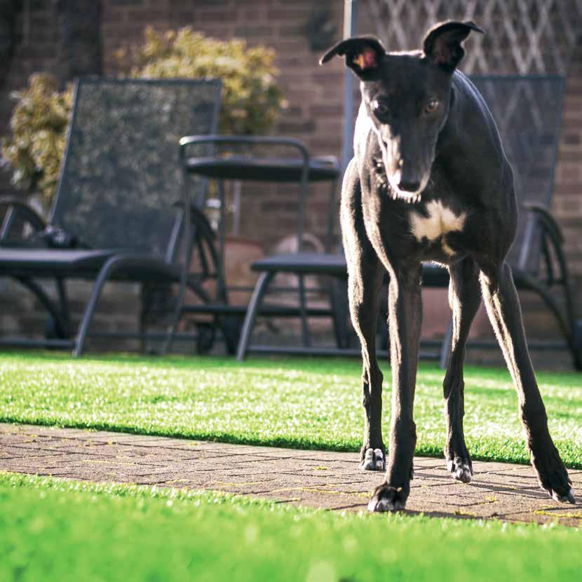 Pets Popular with pet owners, Trulawn is the perfect solution if you re fed up with your dog digging holes in the garden, discoloured patches on your lawn and muddy paw