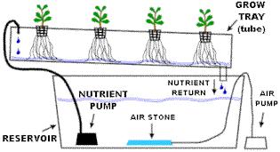 Nutrient Film Technique This is the kind of hydroponic system most people think of when they think about hydroponics. N.F.T. systems have a of nutrient solution so no timer required for the submersible pump.