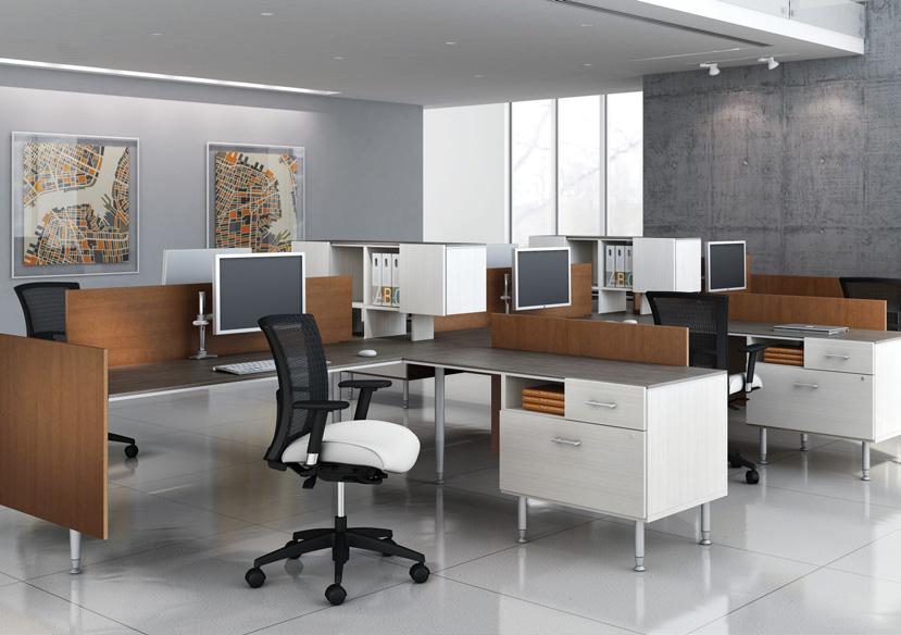 ROSI IS EVERYTHING OFFICE workstations