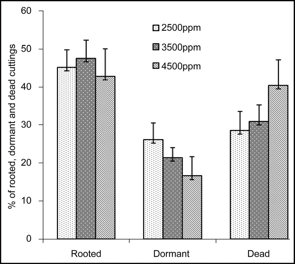 M. Okao et al. (a) (b) (c) (d) Figure 1. Effect of auxin mode of application on rooting success of shea stem cuttings.