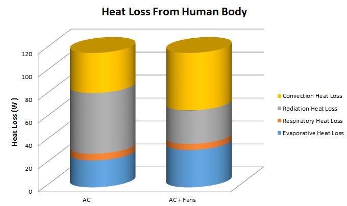 Heat Loss from the Human