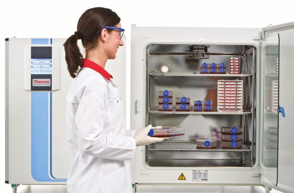 Intelligent design, promoting superior cell growth >> Our Heracell i offers a range of features that maximize safe, dependable cell growth Our Heracell