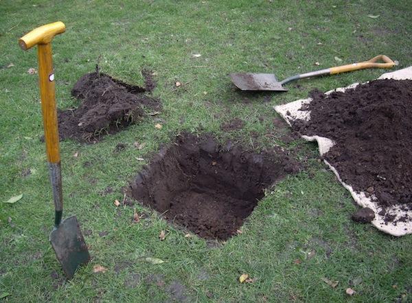 Dig a hole Dig a hole 3 to 4 times wider than the container and only as deep as the existing root ball.