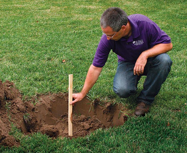 In heavy clay or compacted soils, square holes are better than round holes.