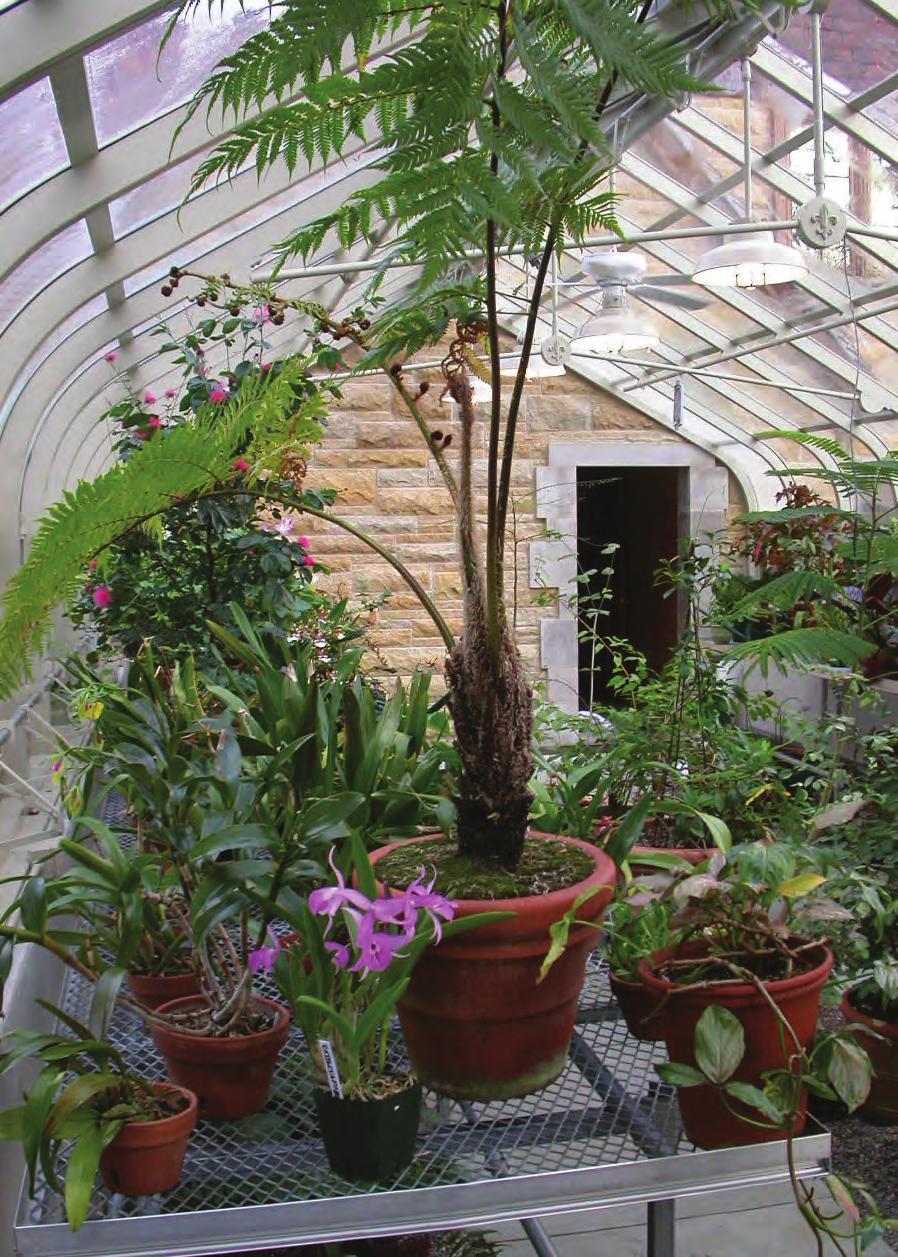 Interior greenhouse with fixed benches, eave