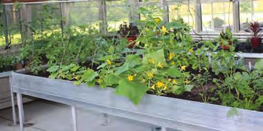 Plants benefit from the extra space and do not have to be repotted as they grow. Stacked Trellis Single Trellis Trellises Solar Innovations, Inc.