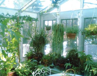 Year Round Spring/Fall Winter, Spring, Fall 4. What is your gardening experience level? Hobby or new to gardening Master gardener Research technician for a greenhouse 5.