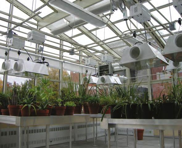 Functional Greenhouse Types Research Research greenhouses are primarily used in agricultural extension departments, universities, medical research facilities, biotechnology labs, and commercial