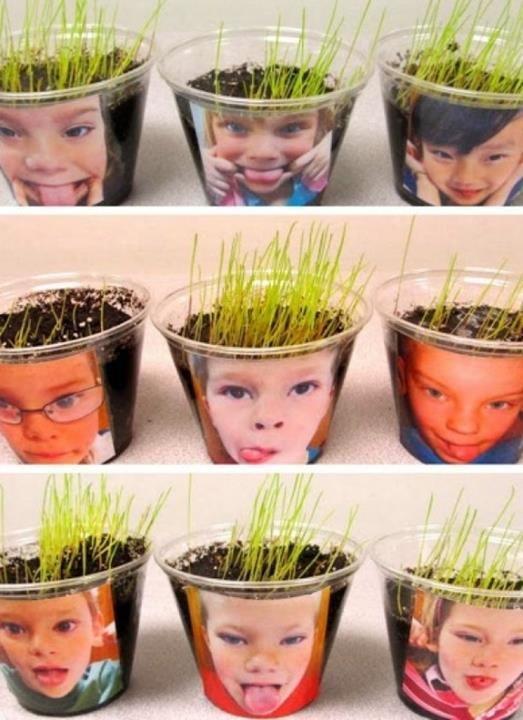Growing seeds A variation on the usual cress seed investigation, could be to add photographs of the children to plastic pots.