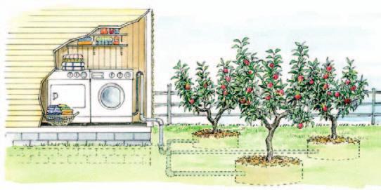 BEYOND CONSERVATION Recycling and Harvesting Water While none of us can create the water we need for our households, we can make some relatively simple adaptations to our homes to make the water we