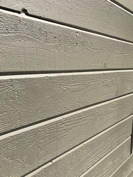 1. Siding Condition Exterior Areas Siding and paint appeared in good condition