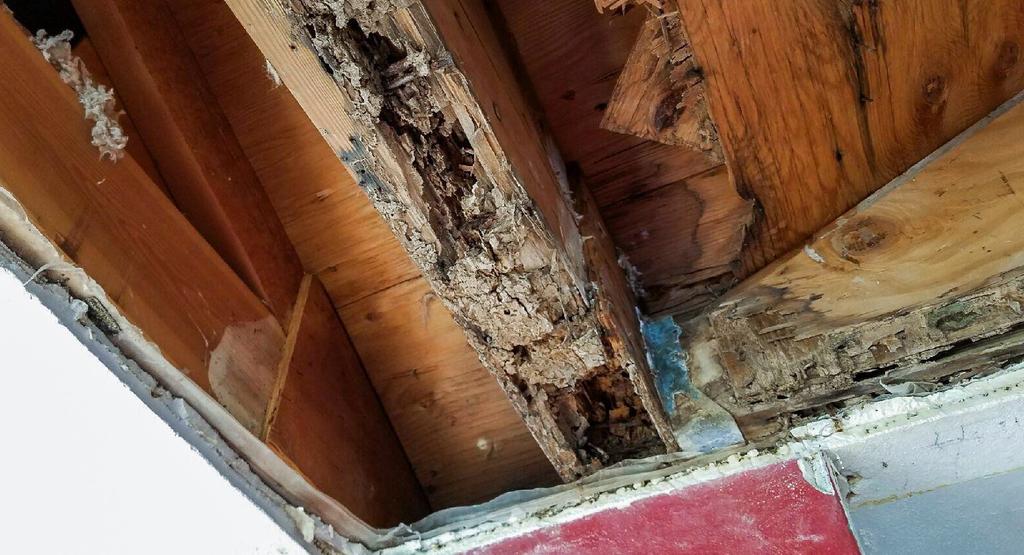 Keep in mind that termites go from house to house.