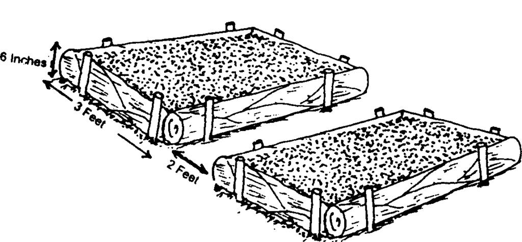 The seedbed should be about 1 metre (3 feet) in width and can be as long as the available space allows, but 3 metres is the usual length. A path of 0.
