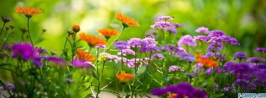 Give Your Summer Garden New Life By: Rick Durham Page 6 Summer s heat and weather can take a toll on your flower garden.