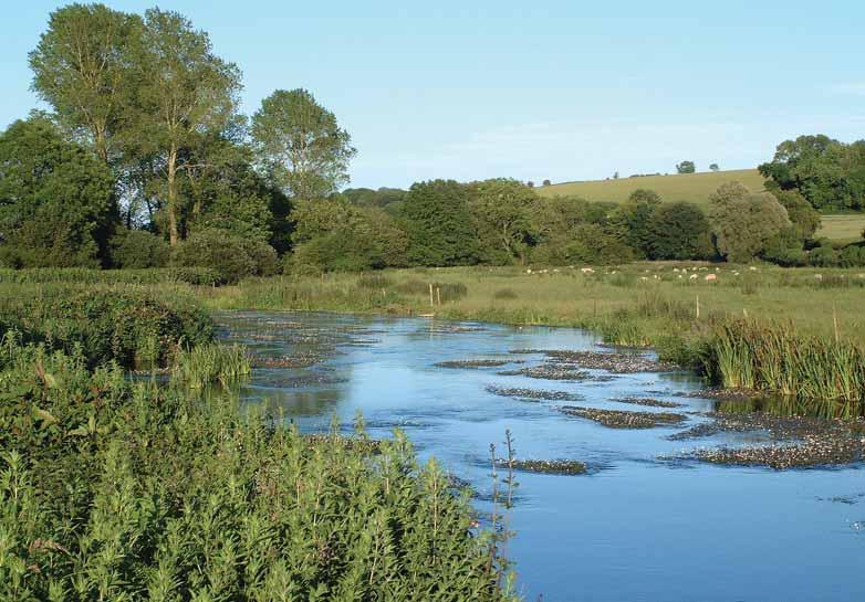 Character Area: Frome Valley Pasture The Frome Valley Pasture is characterised by a flat valley floor with the meandering River Frome and associated floodplain and terraces.