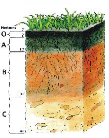 The Design Soil Type Permeability 0.1-0.1 in/hr Extremely slow 0.1-0.6 in/hr Very slow 0.6-0.2 in/hr Slow 0.2-0.