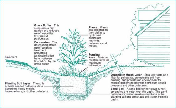 The Plan Budget Residential rain gardens average $3 to $5 per square foot