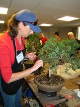 Upcoming Programs & Events Saturday, June 2, 2012 North Haven Gardens Monthly Meeting & Program Bonsai Study Group 9:00 AM Saturday, July 7, 2012 North Haven Gardens Monthly Meeting & Program Work