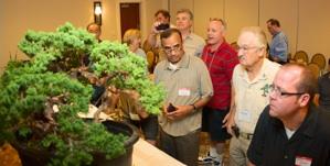 June Program Bonsai Study Group with Howard & Sylvia Smith Please plan to join us for another installment of the Study Group series, led by Howard and Sylvia Smith of Bonsai Smiths.